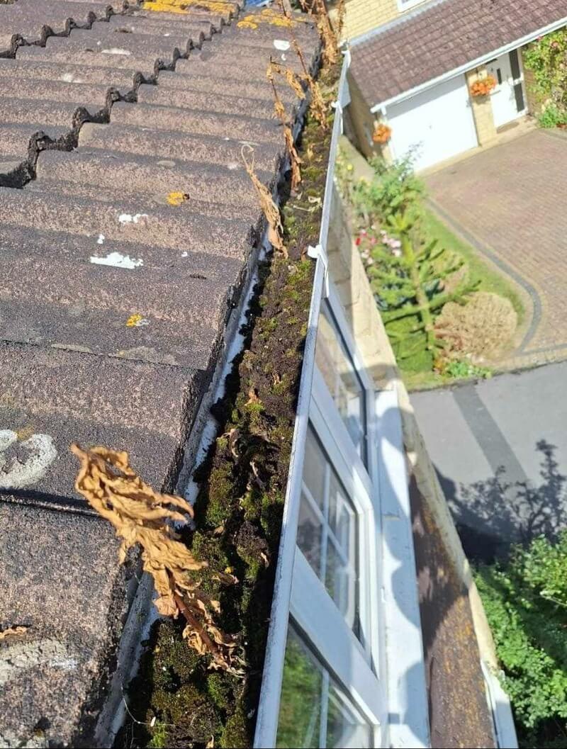 Gutter and fascia